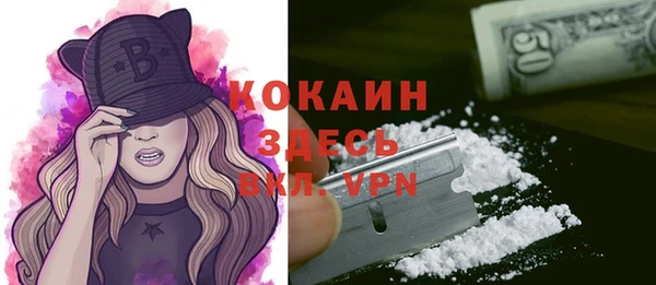 дживик Богородицк