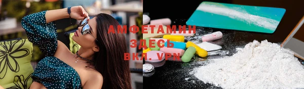 молекула духа Богданович