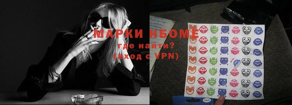 молекула духа Богданович