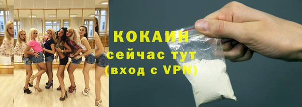дживик Богородицк