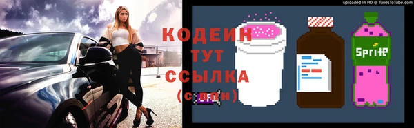 дживик Богородицк
