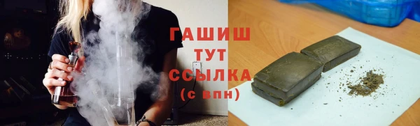молекула духа Богданович