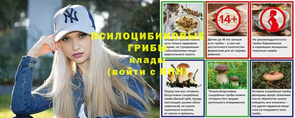 дживик Богородицк