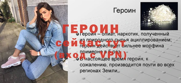 молекула духа Богданович