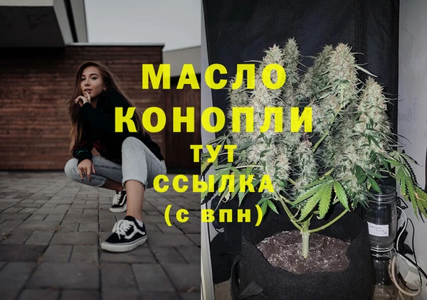 дживик Богородицк