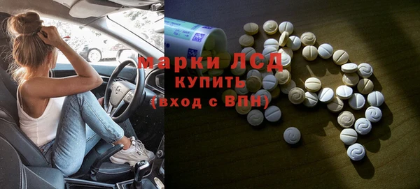 молекула духа Богданович