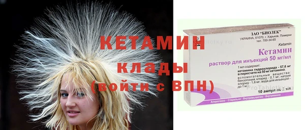 дживик Богородицк