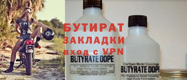 дмт Бородино