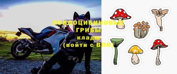 дмт Бородино