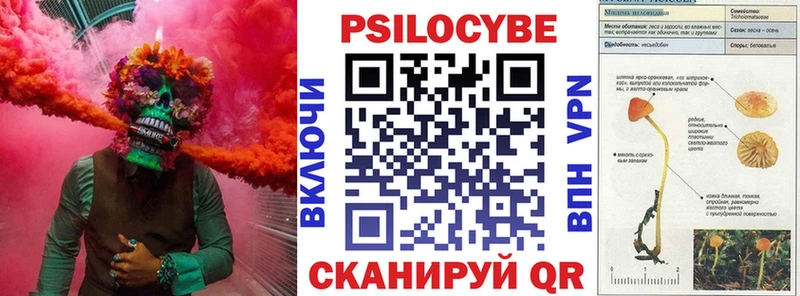 Купить  Сясьстрой  Псилоцибиновые грибы мицелий 